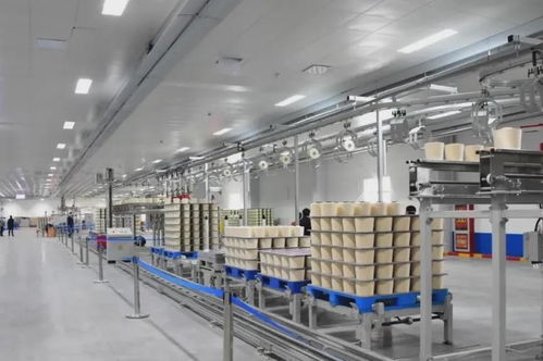 市場寒冬中的破局之道 優(yōu)勢企業(yè)如何以管理創(chuàng)新逆勢圈粉