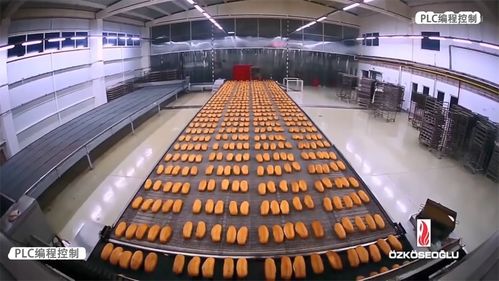 PLC編程控制 賦能食品生產(chǎn)線自動化，驅(qū)動企業(yè)管理升級