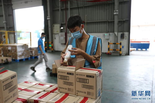 開放不息，海淘不止 疫情防控常態化下的廣州對外開放與海淘物流之路