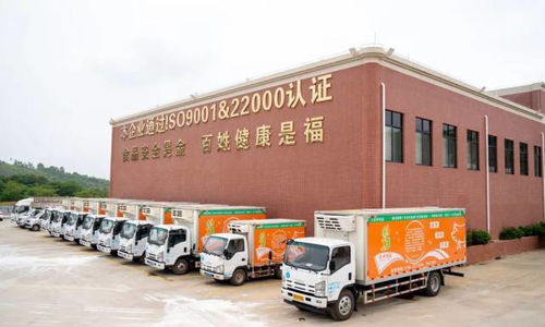 廣東羅定天溪冷鏈物流產(chǎn)地倉一期項(xiàng)目正式動(dòng)工，助力海淘物流升級